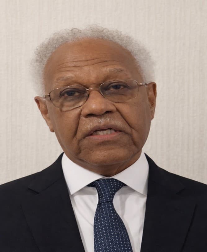 Professor Allaeldin Hassan Ahmed
