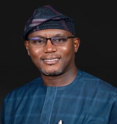 Professor Oluwabunmi Olapade-Olaopa