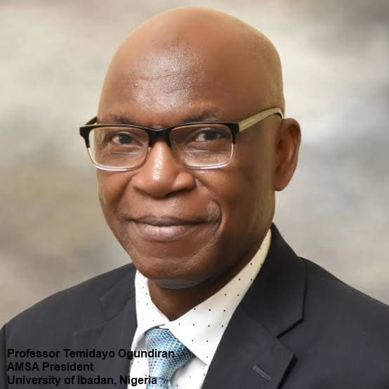 Prof Temidayo Ogundiran